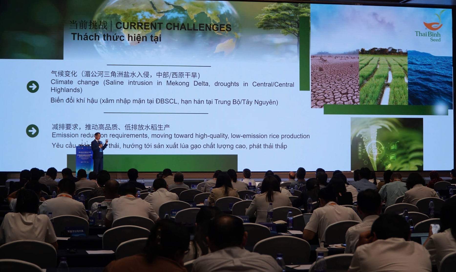Diễn đàn quốc tế 2026 về hợp tác phát triển ngành lúa gạo và liên kết chuỗi công nghiệp giống hiện đại diễn ra tại Trung Quốc. Ảnh: BTC.