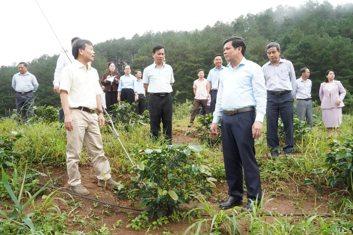 Phó Bí thư Tỉnh ủy, Chủ tịch HĐND tỉnh Quảng Ngãi Nguyễn Đức Tuy (trên cùng bên phải) kiểm tra mô hình phát triển kinh tế, sản xuất trên địa bàn xã Tu Mơ Rông. Ảnh: Võ Hà.
