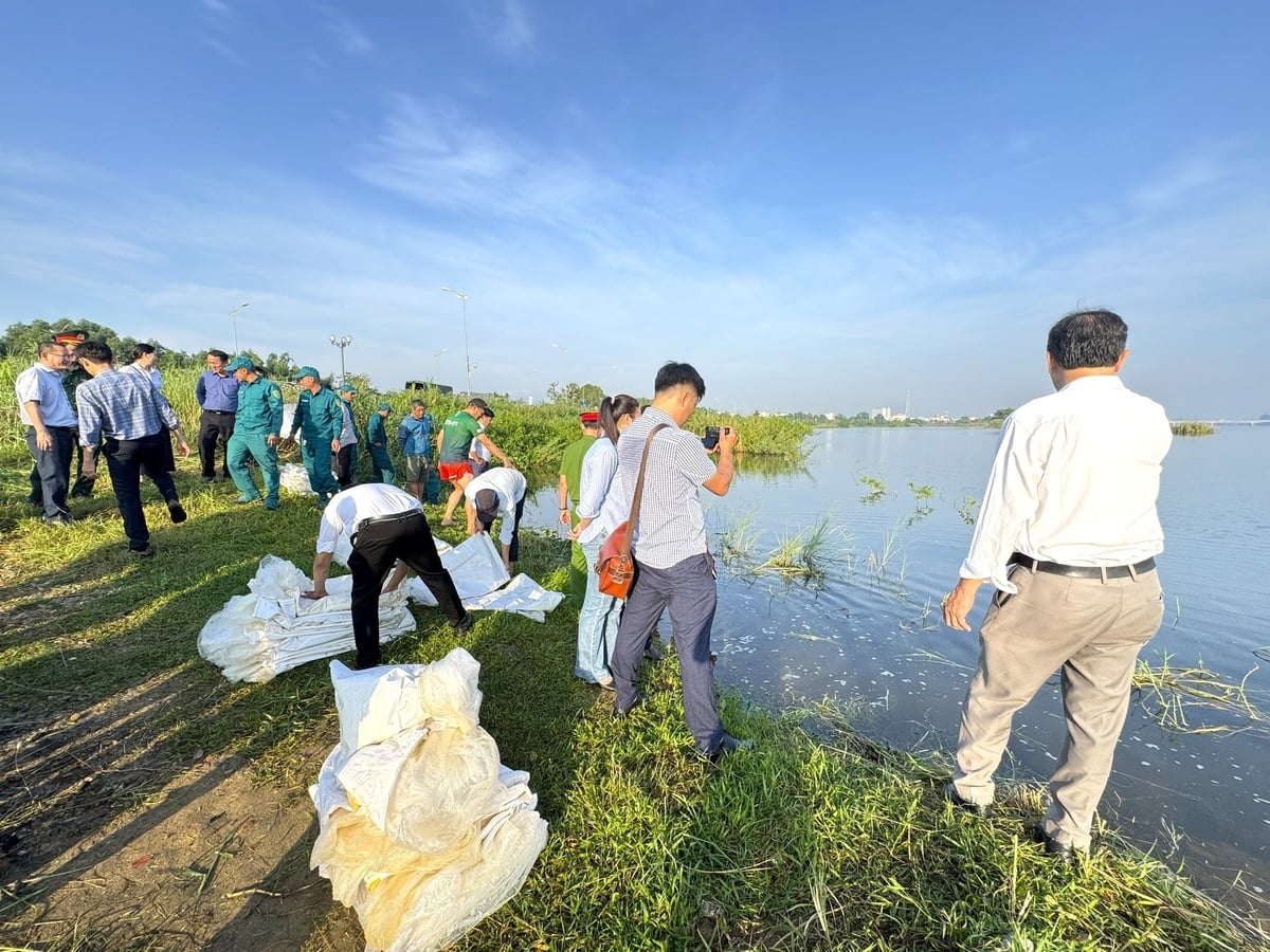 Địa điểm thả cá giống gần đập dâng sông Trà Khúc thuộc xã An Phú (Quảng Ngãi). Ảnh: L.K. Địa điểm thả cá giống gần đập dâng sông Trà Khúc thuộc xã An Phú (Quảng Ngãi). Ảnh: L.K.