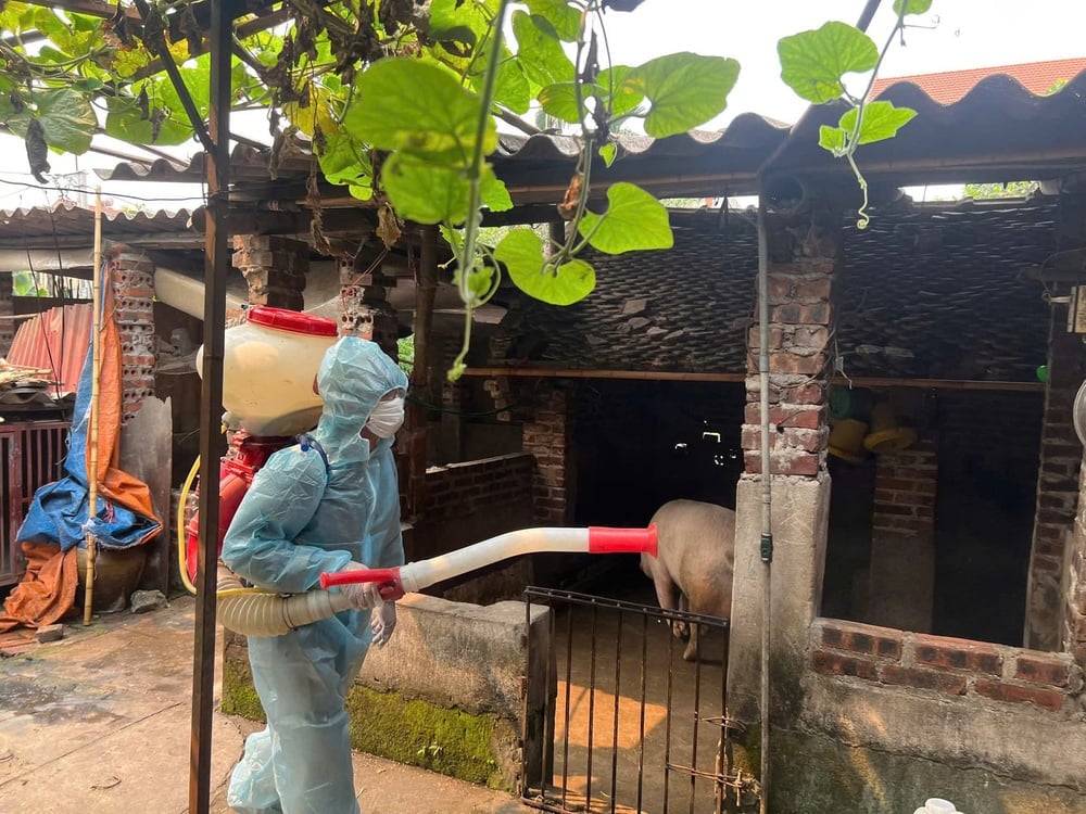 Bắc Ninh triển khai Tháng tổng vệ sinh, khử trùng, tiêu độc môi trường đợt 2/2026. Ảnh: Tiến Hưng.