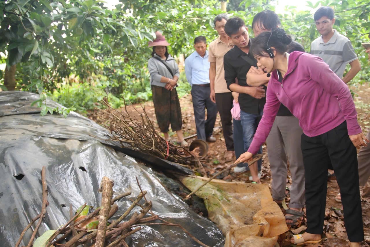 Chị Nguyễn Thị Ánh hướng dẫn người dân cách ủ phân hữu cơ từ phụ phẩm nông nghiệp. Ảnh: Nguyễn Nga.