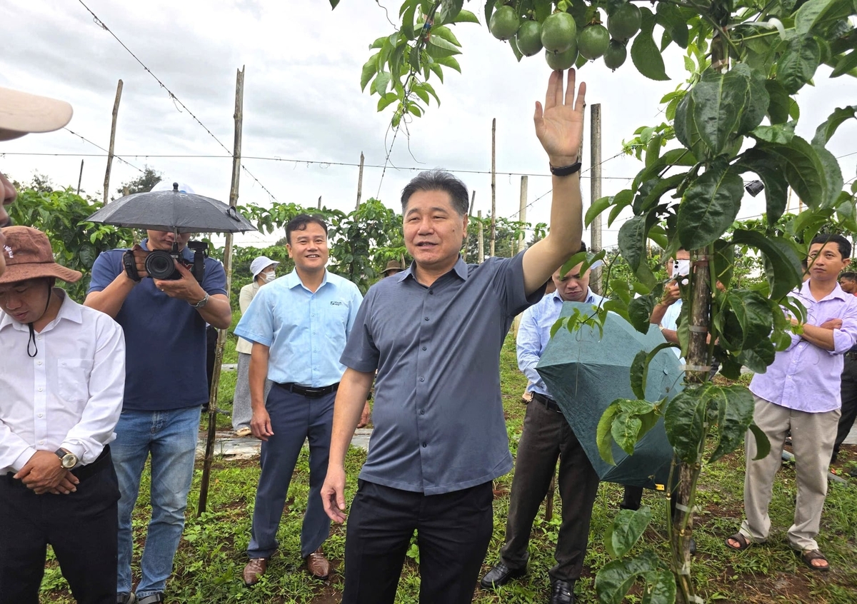 Ông Thanh đề nghị các địa phương đẩy nhanh việc cấp mã số vùng trồng, cơ sở đóng gói. Ảnh: Tuấn Anh.