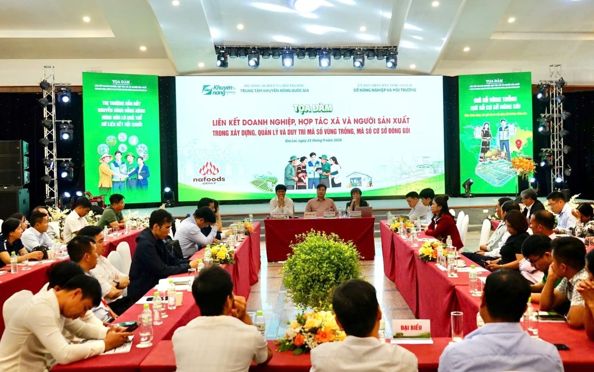 Tọa đàm 'Liên kết doanh nghiệp, HTX và người sản xuất trong xây dựng, quản lý và duy trì mã số vùng trồng, mã số cơ sở đóng gói' tổ chức sáng 25/9 tại Gia Lai. Ảnh: Tuấn Anh. Tọa đàm 'Liên kết doanh nghiệp, HTX và người sản xuất trong xây dựng, quản lý và duy trì mã số vùng trồng, mã số cơ sở đóng gói' tổ chức sáng 25/9 tại Gia Lai. Ảnh: Tuấn Anh.