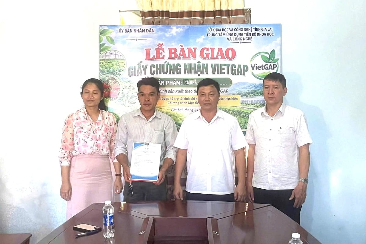 Trao chứng nhận cà phê VietGAP cho HTX Nông nghiệp hữu cơ Ia Phí. Ảnh: CTV.