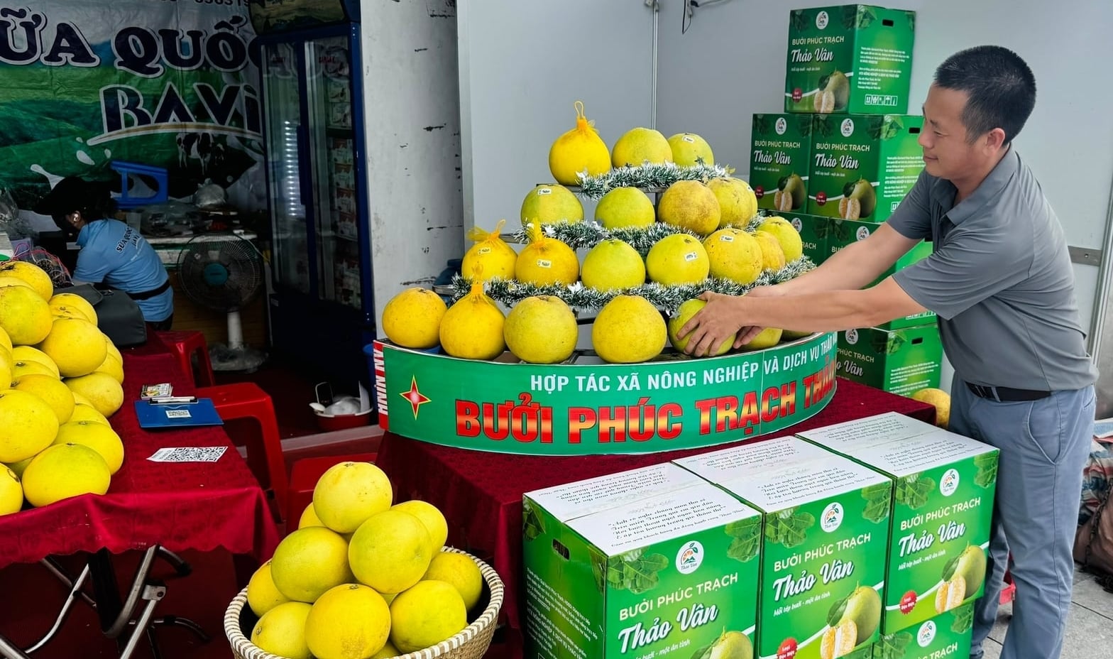 HTX Nông nghiệp và Dịch vụ Thảo Vân giới thiệu bưởi Phúc Trạch tại hội chợ, mở rộng kết nối tiêu thụ sản phẩm. Ảnh: Ánh Nguyệt. HTX Nông nghiệp và Dịch vụ Thảo Vân giới thiệu bưởi Phúc Trạch tại hội chợ, mở rộng kết nối tiêu thụ sản phẩm. Ảnh: Ánh Nguyệt.