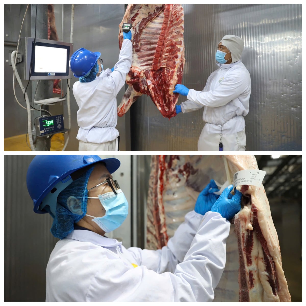 Quy trình giết mổ tại Pacow được thực hiện nghiêm ngặt, truy xuất nguồn gốc xuyên suốt chuỗi sản xuất. Ảnh: Trần Trung.