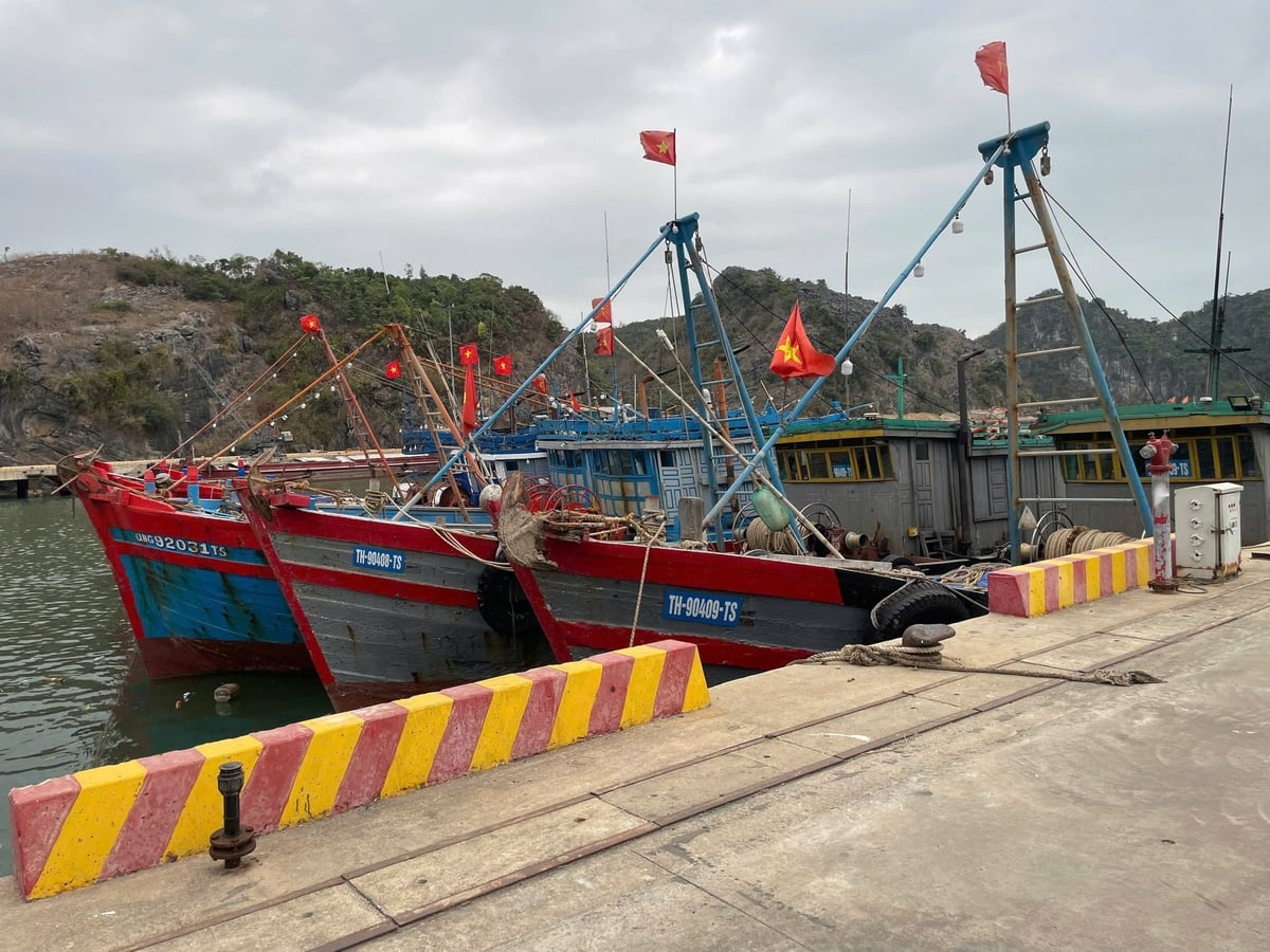Kết quả bước đầu cho thấy, việc đưa hoạt động kiểm ngư đến cảng cá đã bước đầu phát huy hiệu quả, tạo thêm một 'lớp kiểm soát' trước khi tàu cá rời bờ. Ảnh: Nam Cận.