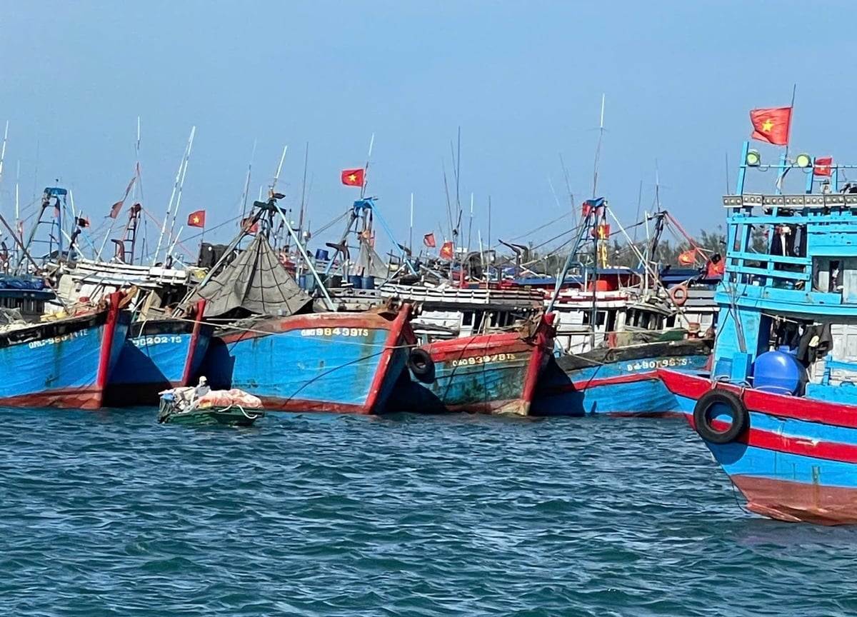 Chi cục Kiểm ngư Vùng I đã triển khai một cách làm mới, đó là kiểm soát tàu cá ngay tại các cảng cá, khu neo đậu, kết hợp kiểm tra thực địa với khai thác dữ liệu VMS, VNFishbase để 'lọc tàu cá có nguy cơ vi phạm'. Ảnh: Nam Cận.