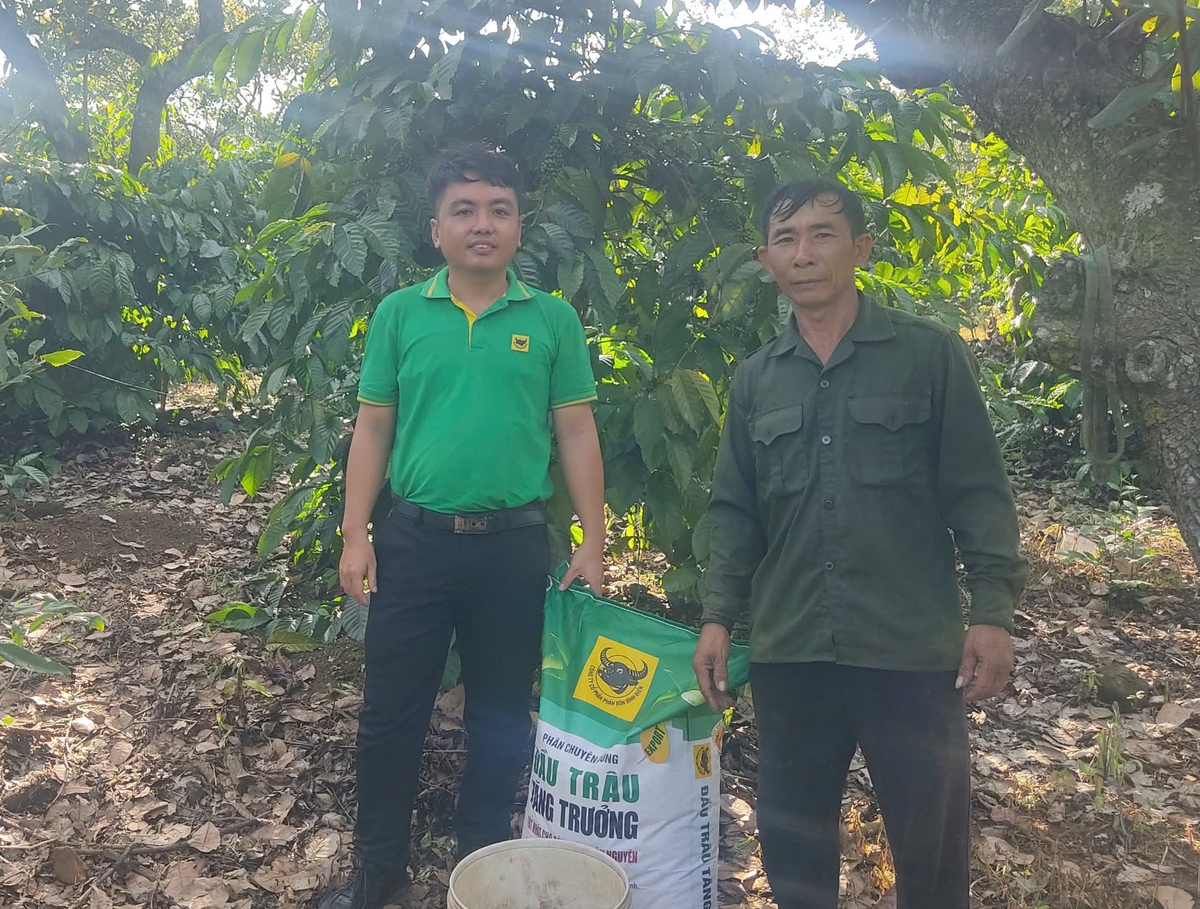 Nhân viên kỹ thuật Bình Điền cùng ông Dũng chuẩn bị phân bón đầu mùa mưa. Ảnh: NV.Vũ. Nhân viên kỹ thuật Bình Điền cùng ông Dũng chuẩn bị phân bón đầu mùa mưa. Ảnh: NV.Vũ.