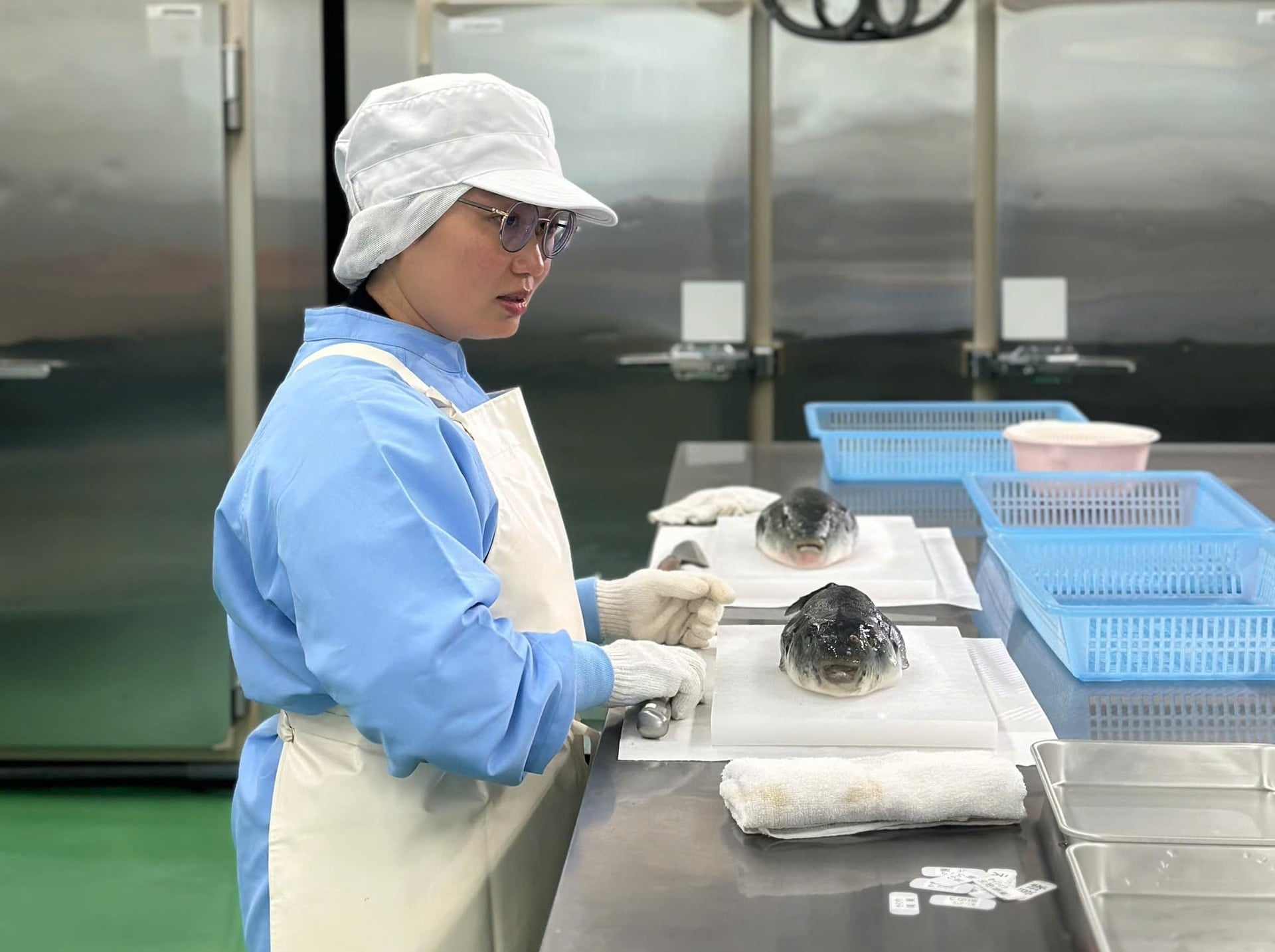 Bà Vũ Thùy Linh, Công ty Cổ phần Cá nóc Việt Nam cho biết, quyết định phê duyệt Đề cương khảo nghiệm giống cá nóc vàng đánh dấu một cột mốc đặc biệt sau hành trình kéo dài 12 năm theo đuổi việc nghiên cứu loài này. Ảnh: HT. Bà Vũ Thùy Linh, Công ty Cổ phần Cá nóc Việt Nam cho biết, quyết định phê duyệt Đề cương khảo nghiệm giống cá nóc vàng đánh dấu một cột mốc đặc biệt sau hành trình kéo dài 12 năm theo đuổi việc nghiên cứu loài này. Ảnh: HT.