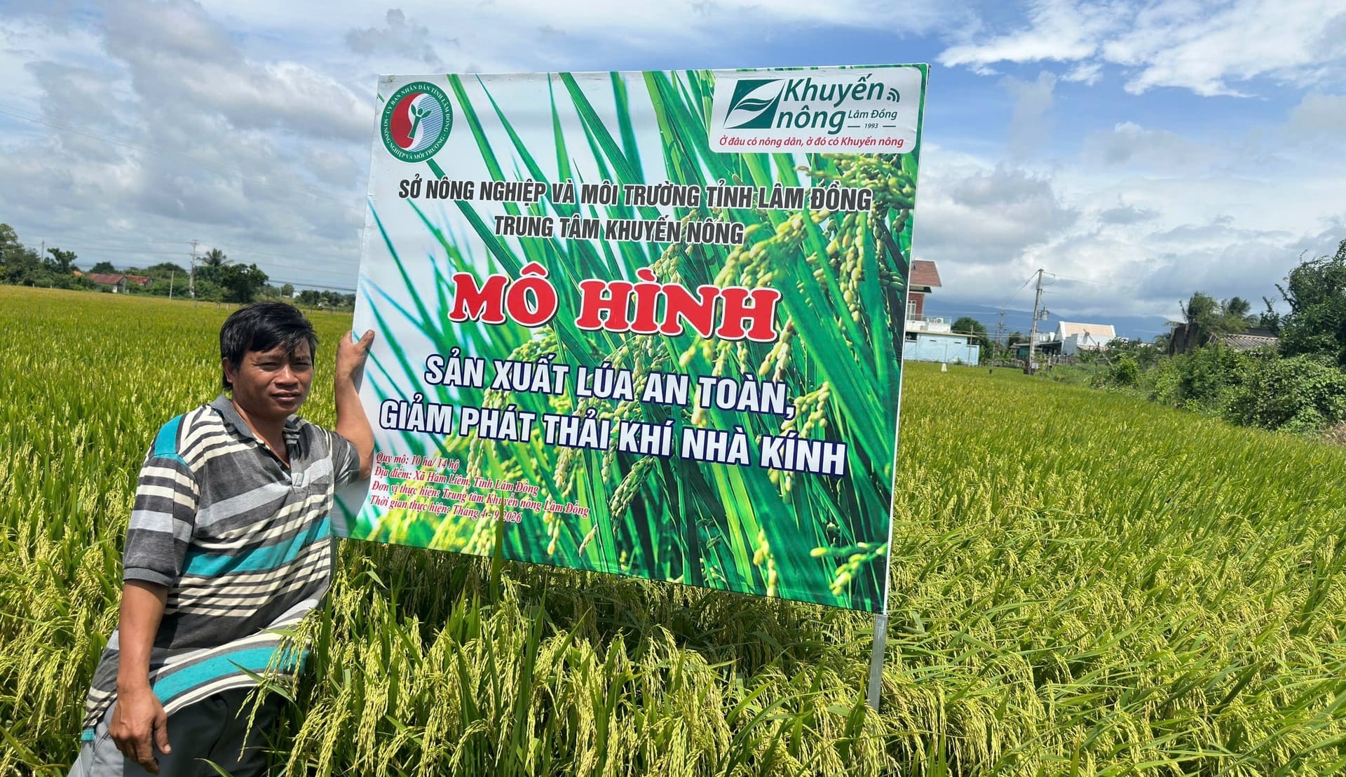 Mô hình sản xuất lúa an toàn giảm phát thải khí nhà kính tại xã Hàm Liêm. Ảnh: KS.