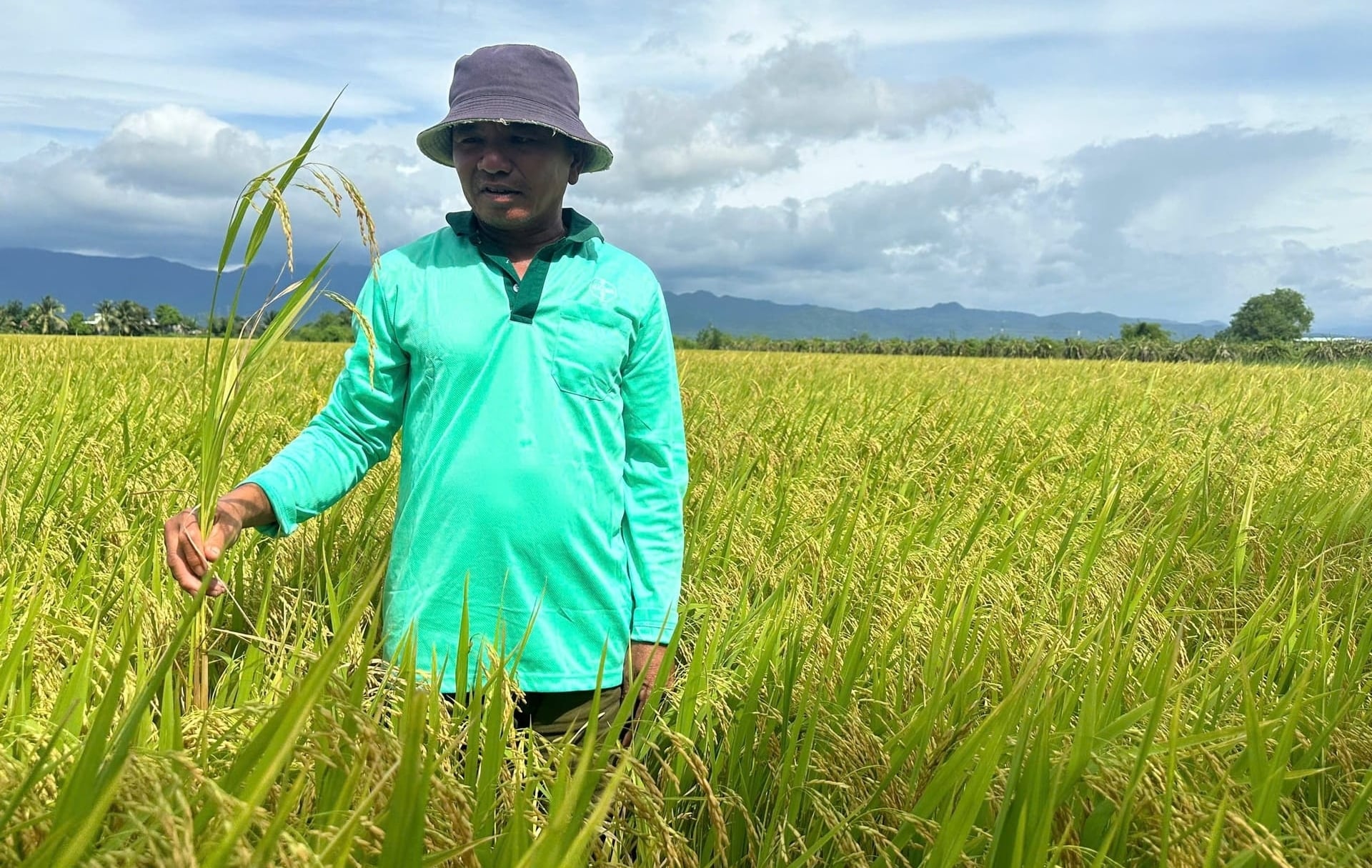 Trung tâm Khuyến nông tỉnh Lâm Đồng kiến nghị các xã tiếp tục duy trì và mở rộng mô hình. Ảnh: Phương Chi.