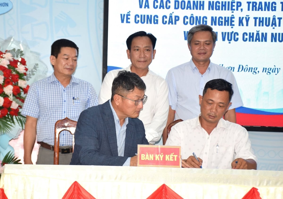 Ông Jeong Bong Cheol, Tổng Giám đốc Công ty Cổ phần Đầu tư nông nghiệp Việt - Hàn (ngồi bìa trái) ký kết ghi nhớ hợp tác với ông Thái Thành Việt, Phó Giám đốc HTX Nông nghiệp Thanh Niên Hoài Ân (xã Hoài Ân, Gia Lai). Ảnh: V.Đ.T. Ông Jeong Bong Cheol, Tổng Giám đốc Công ty Cổ phần Đầu tư nông nghiệp Việt - Hàn (ngồi bìa trái) ký kết ghi nhớ hợp tác với ông Thái Thành Việt, Phó Giám đốc HTX Nông nghiệp Thanh Niên Hoài Ân (xã Hoài Ân, Gia Lai). Ảnh: V.Đ.T.