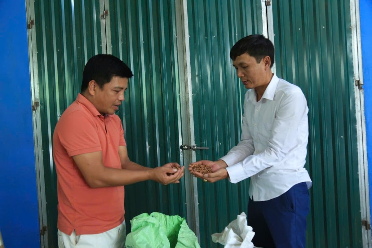 Anh Phi (trái) - Giám đốc HTX Hoàng Thịnh Phát. Ảnh: Thanh Tiến. Anh Phi (trái) - Giám đốc HTX Hoàng Thịnh Phát. Ảnh: Thanh Tiến.