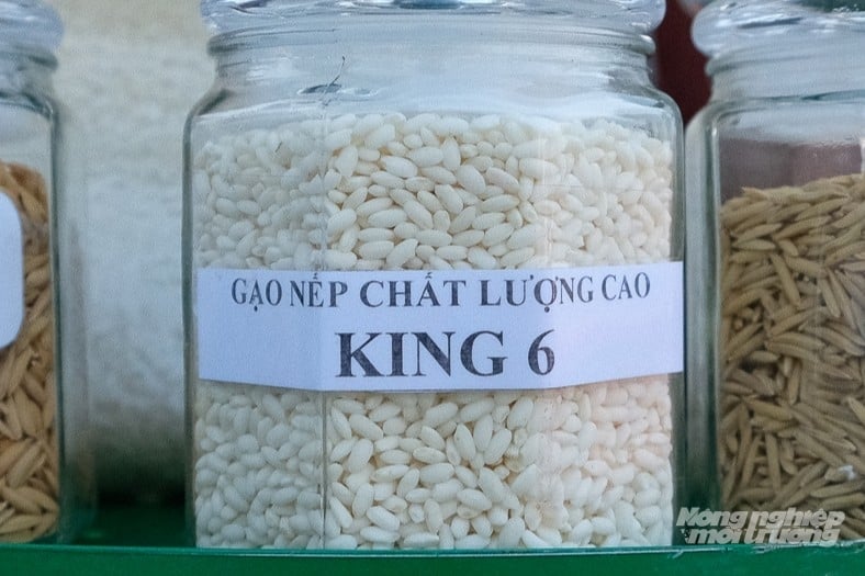 Để quản lý được hiệu quả, các nước thường có quy trình đánh giá công nghệ tách bạch so với đánh giá giống. Ảnh: Tùng Đinh.