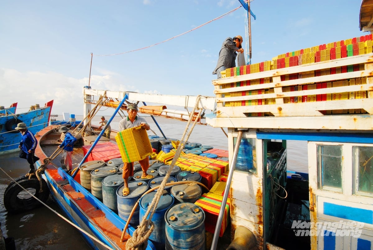 Ngư dân tập kết ngư lưới cụ, nhiên liệu và vật tư trên tàu trước chuyến biển, góp phần duy trì hoạt động khai thác đúng quy định trên biển. Ảnh: Lê Hoàng Vũ. Ngư dân tập kết ngư lưới cụ, nhiên liệu và vật tư trên tàu trước chuyến biển, góp phần duy trì hoạt động khai thác đúng quy định trên biển. Ảnh: Lê Hoàng Vũ.
