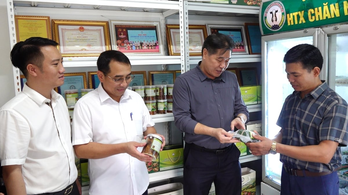 Hợp tác xã Chăn nuôi bò và Dịch vụ sản xuất nông nghiệp Nga My đang phát triển đa dạng các sản phẩm chế biến sâu từ bò thịt. Ảnh: Quang Linh. Hợp tác xã Chăn nuôi bò và Dịch vụ sản xuất nông nghiệp Nga My đang phát triển đa dạng các sản phẩm chế biến sâu từ bò thịt. Ảnh: Quang Linh.