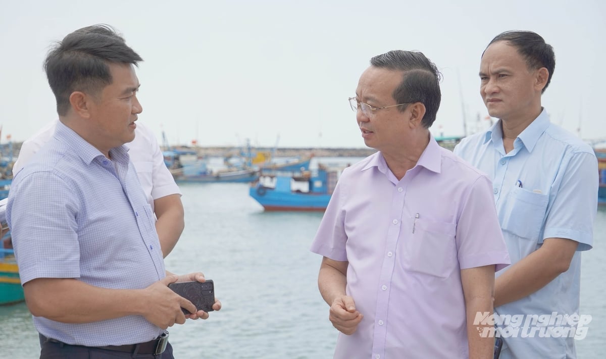 Ông Bùi Minh Thạnh (giữa) kiểm tra công tác quản lý tàu cá tại cảng, yêu cầu tăng cường giám sát theo khuyến nghị của Ủy ban châu Âu (EC). Ảnh: Lê Bình.