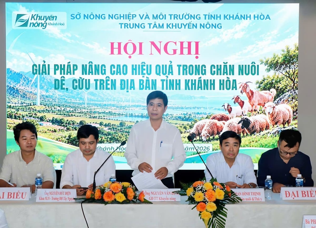 Quang cảnh hội nghị giải pháp nâng cao hiệu quả trong chăn nuôi dê, cừu tỉnh Khánh Hòa. Ảnh: KS.
