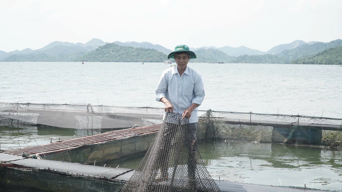 Quy mô sản xuất của HTX Thủy sản Đại Từ không ngừng được mở rộng. Ảnh: Đức Bình. Quy mô sản xuất của HTX Thủy sản Đại Từ không ngừng được mở rộng. Ảnh: Đức Bình.