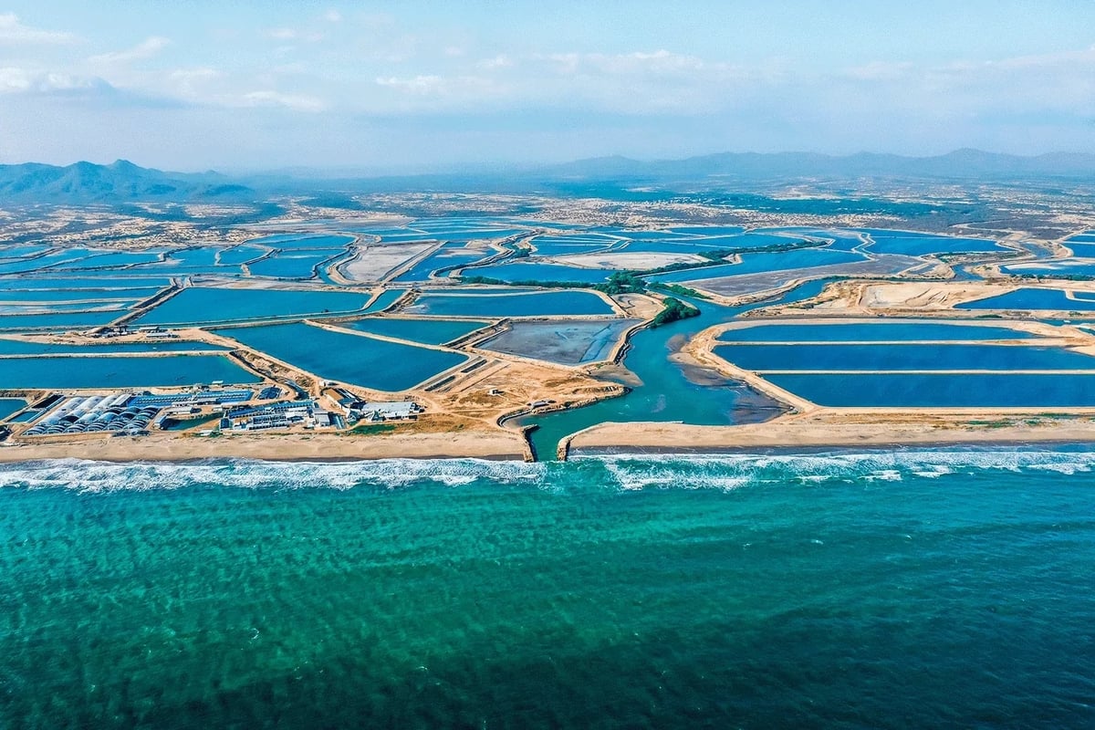Một trang trại nuôi tôm của Santa Priscilla - công ty xuất khẩu tôm lớn nhất thế giới. Ảnh: Thefishsite. Một trang trại nuôi tôm của Santa Priscilla - công ty xuất khẩu tôm lớn nhất thế giới. Ảnh: Thefishsite.