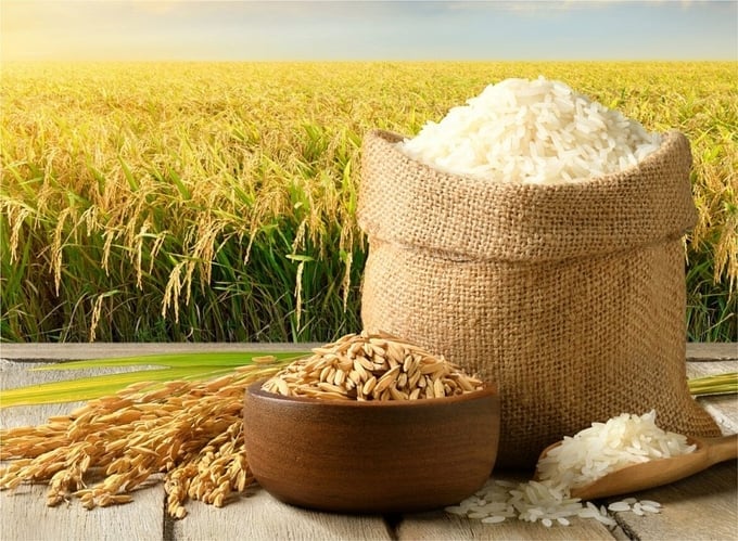 Cập nhật giá lúa gạo hôm nay 23/9/2026 ở trong nước mới nhất