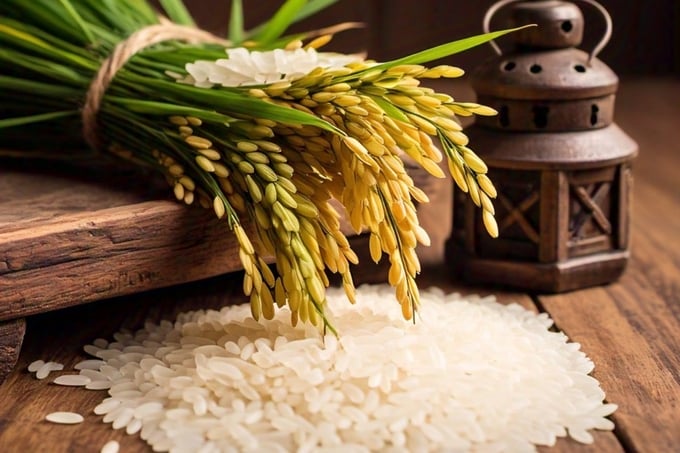 Cập nhật giá lúa gạo hôm nay 29/9/2026 mới nhất