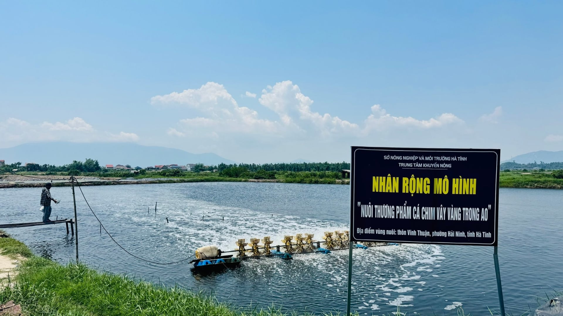 Mô hình nuôi cá chim vây vàng 3 ha của ông Trần Công Huy ở phường Hải Ninh. Ảnh: Ánh Nguyệt