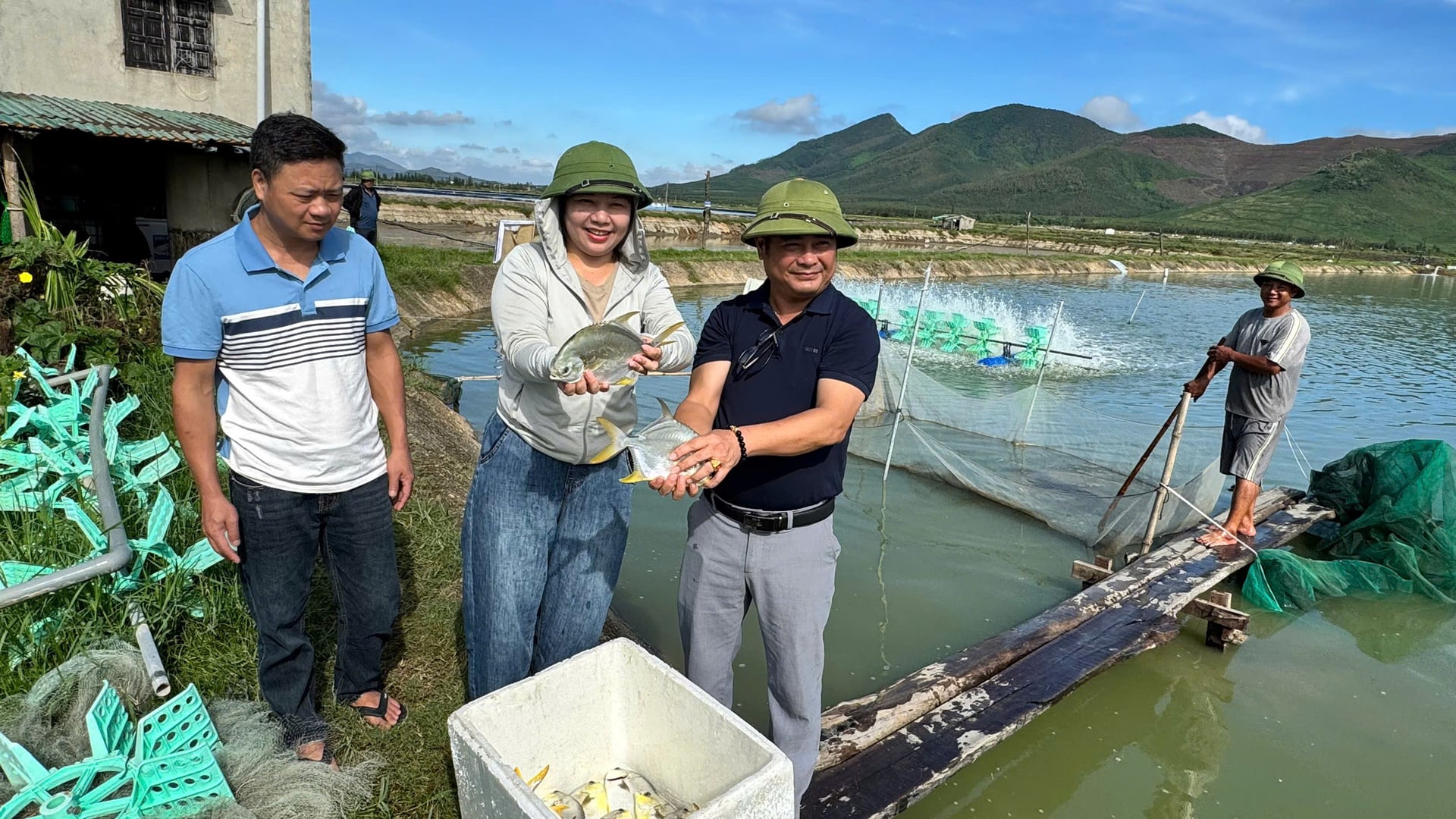 Trung tâm Khuyến nông Hà Tĩnh đã triển khai mô hình nuôi cá chim vây vàng đạt tiêu chuẩn VietGAP gắn với liên kết tiêu thụ sản phẩm tại nhiều địa phương. Ảnh: Ánh Nguyệt.