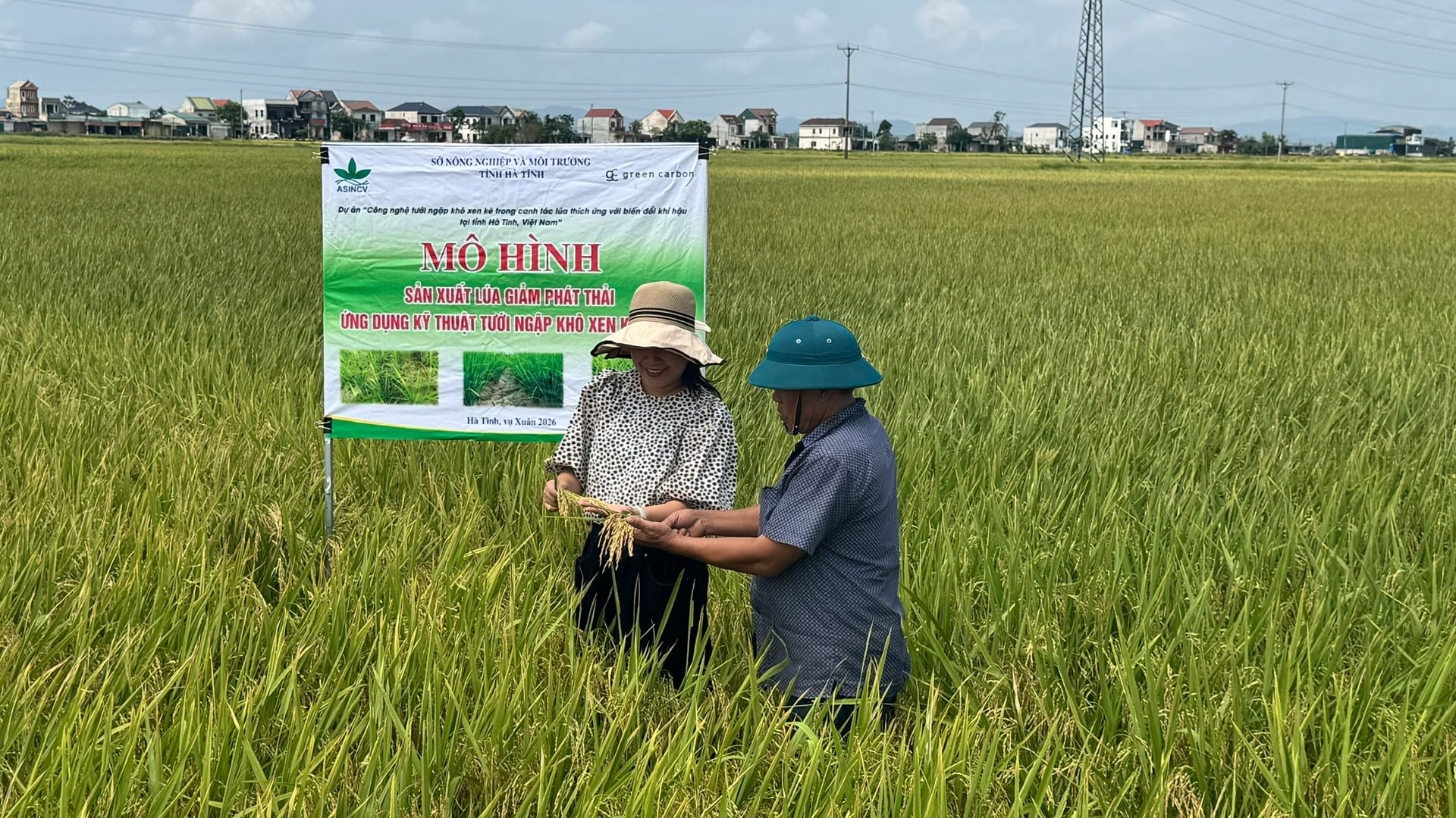 Toàn tỉnh Hà Tĩnh đã có gần 4.200ha lúa thực hiện quy trình tưới ngập - khô xen kẽ hướng tới tạo tín chỉ carbon. Ảnh: Ánh Nguyệt.