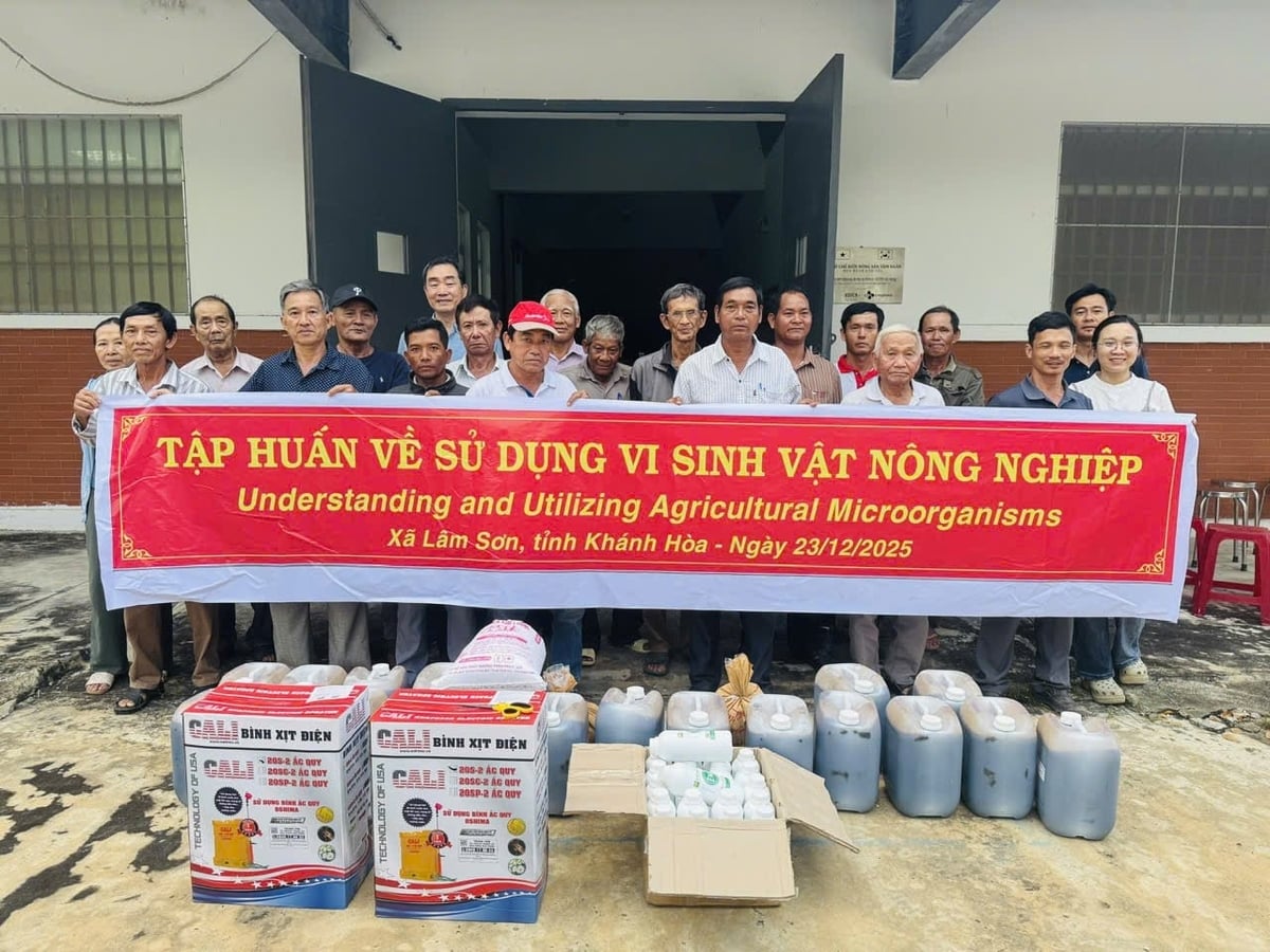 KOICA tập huấn cho nông dân trồng ớt tại HTX Tầm Ngân xã Lâm Sơn, tỉnh Khánh Hoà  Ảnh: Thu Thảo.