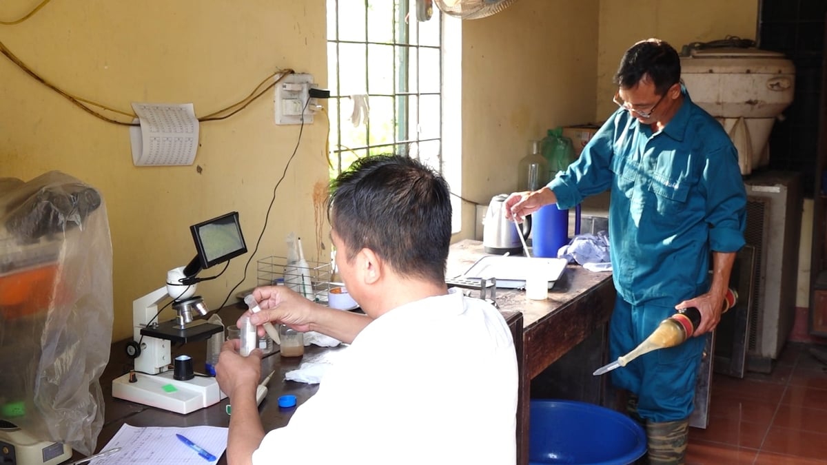 Cán bộ Trung tâm Nghiên cứu và Phát triển chăn nuôi miền núi kiểm tra chất lượng tinh thu được. Ảnh: Quang Linh.