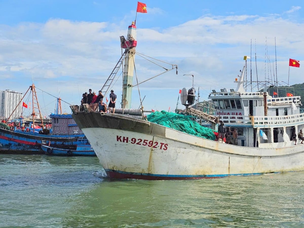 Thời gian qua, hầu hết các tàu cá tỉnh Khánh Hòa chấp hành các quy định về IUU. Ảnh: KS. Thời gian qua, hầu hết các tàu cá tỉnh Khánh Hòa chấp hành các quy định về IUU. Ảnh: KS.