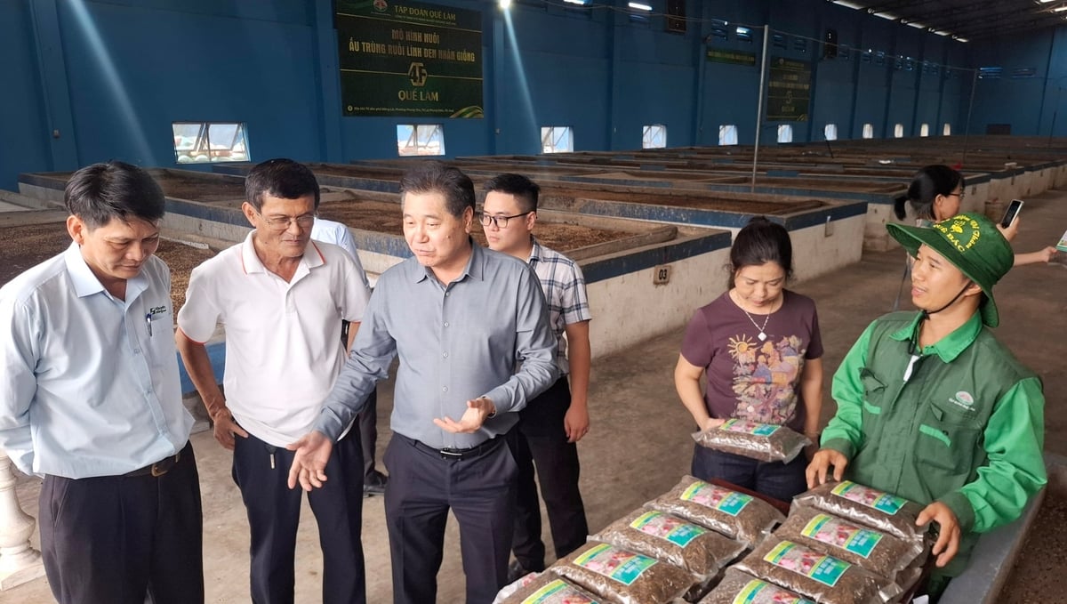 Đoàn Khảo sát các mô hình chăn nuôi an toàn sinh học, nông nghiệp hữu cơ, kinh tế tuần hoàn gắn với liên kết chuỗi và tiêu thụ sản phẩm.