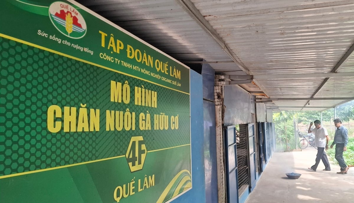 'Các mô hình khuyến nông chăn nuôi tại TP Huế không chỉ đưa quy trình kỹ thuật đến với người dân mà còn giúp người sản xuất tiếp cận phương thức tổ chức sản xuất mới, có doanh nghiệp tham gia vào chuỗi, sản phẩm được kiểm soát và có đầu ra. Trung tâm sẽ tiếp tục đồng hành, hỗ trợ nhân rộng những mô hình chăn nuôi hiệu quả, phù hợp với điều kiện thực tế tại vùng đất Cố đô', ông Thanh nói.