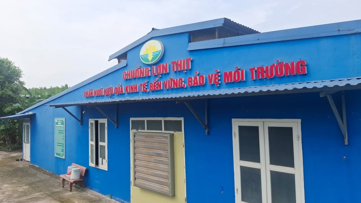 Tại Tổ hợp Nông nghiệp hữu cơ - Kinh tế tuần hoàn - Sinh thái 4F Quế Lâm của Tập đoàn Quế Lâm (phường Phong Điền, TP Huế), dự án 'Xây dựng mô hình chăn nuôi lợn thịt hữu cơ đảm bảo an toàn sinh học, theo hướng kinh tế tuần hoàn' đang được triển khai.