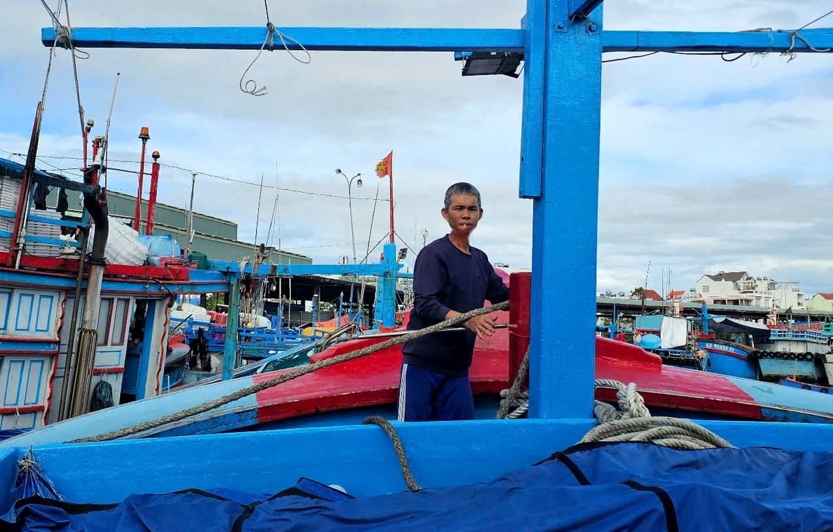 Thời gian qua, ngư dân Khánh Hòa chấp hành tốt các quy định về IUU. Ảnh: KS. Thời gian qua, ngư dân Khánh Hòa chấp hành tốt các quy định về IUU. Ảnh: KS.