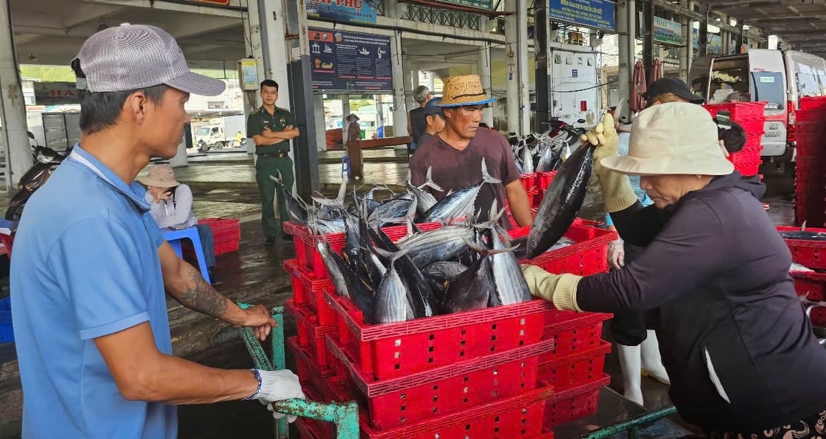 Ngư dân cập cảng Hòn Rớ, tỉnh Khánh Hòa bán hải sản. Ảnh: KS. Ngư dân cập cảng Hòn Rớ, tỉnh Khánh Hòa bán hải sản. Ảnh: KS.