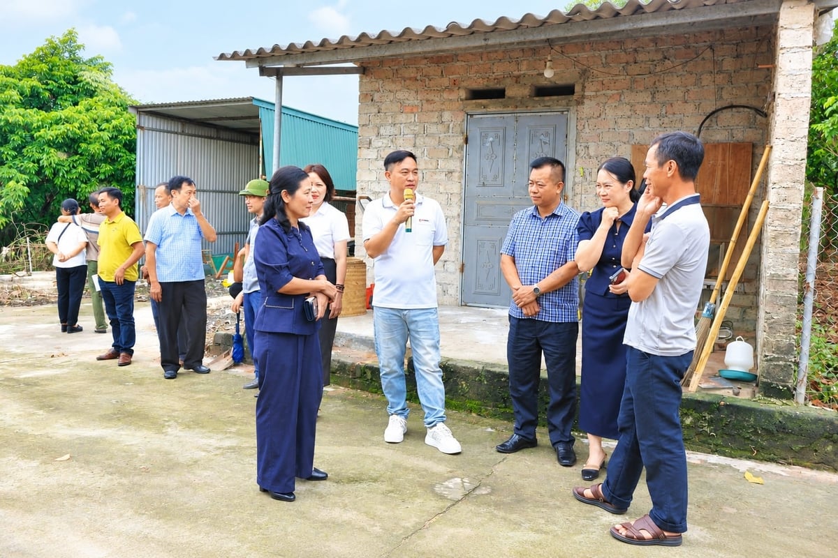 Lãnh đạo Ban Quản lý rừng và Khuyến nông Hải Phòng cùng các đại biểu tham quan, học hỏi kinh nghiệm chăn nuôi tại trại nuôi gà đồi Tân Tiến. Ảnh: Đinh Mười. Lãnh đạo Ban Quản lý rừng và Khuyến nông Hải Phòng cùng các đại biểu tham quan, học hỏi kinh nghiệm chăn nuôi tại trại nuôi gà đồi Tân Tiến. Ảnh: Đinh Mười.