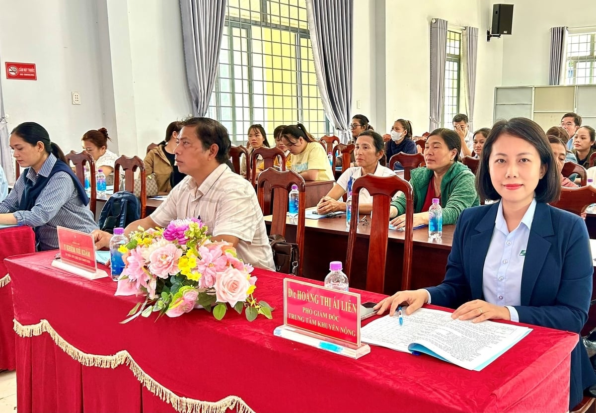 Hội thảo được tổ chức nhằm tuyên truyền, phổ biến kiến thức canh tác sầu riêng bền vững cho nông dân, đặc biệt là nữ nông dân. Ảnh: Tuấn Trần.