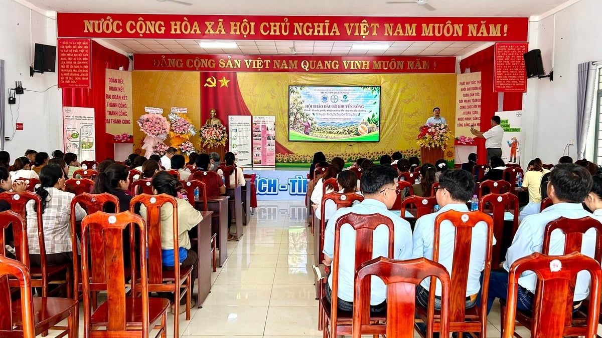 Toàn cảnh hội thảo. Ảnh: Tuấn Trần.