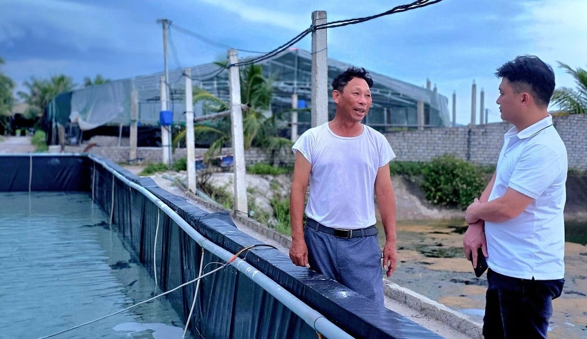 Để phát triển nghề nuôi tôm bền vững, ông Tin (trái) mong muốn được thuê đất trực tiếp từ nhà nước thay vì hợp đồng giao khoán với công ty như trước đây. Ảnh: KA.