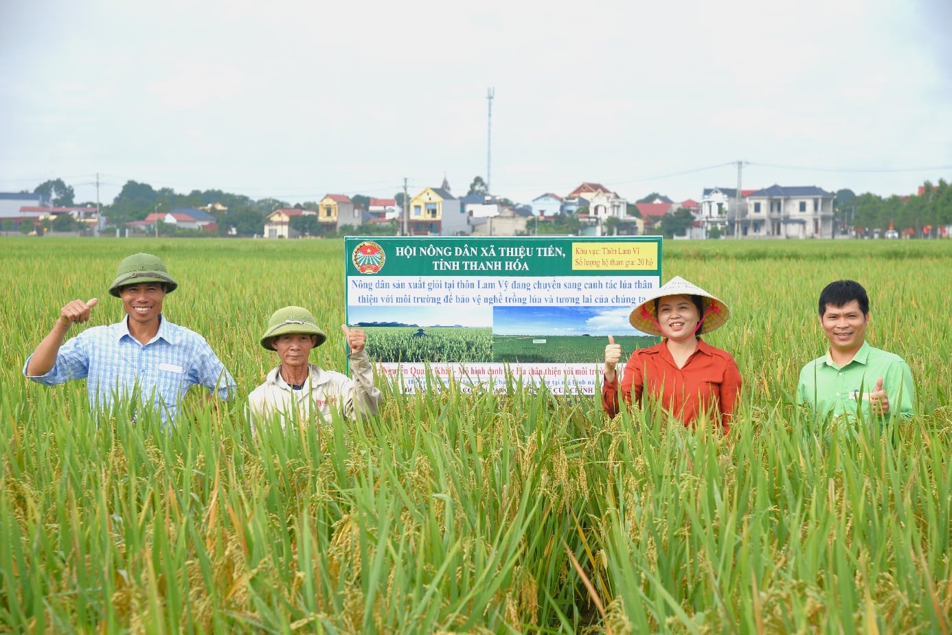 Mô hình canh tác lúa thân thiện với môi trường tại xã Thiệu Tiến, tỉnh Thanh Hóa phát huy hiệu quả cao. Ảnh: Quốc Toản. Mô hình canh tác lúa thân thiện với môi trường tại xã Thiệu Tiến, tỉnh Thanh Hóa phát huy hiệu quả cao. Ảnh: Quốc Toản.