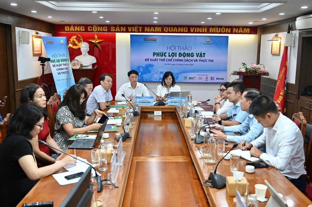Tại Hội thảo 'Phúc lợi động vật - Đề xuất thể chế chính sách và thực thi', nhiều địa phương đã bắt đầu quan tâm đến chính sách hỗ trợ các cơ sở chăn nuôi, doanh nghiệp đáp ứng tiêu chí, điều kiện chăn nuôi. Ảnh: Kiều Chi.