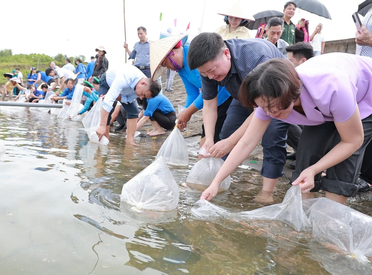 120.000 con giống thủy sản được thả tại khu vực hồ chứa nước đập Đầm Hà Động. Ảnh: Thanh Nga.