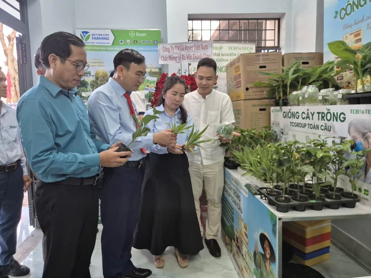 Các đại biểu tham quan các gian hàng và điểm tư vấn kỹ thuật nông nghiệp. Ảnh: Tuấn Trần.