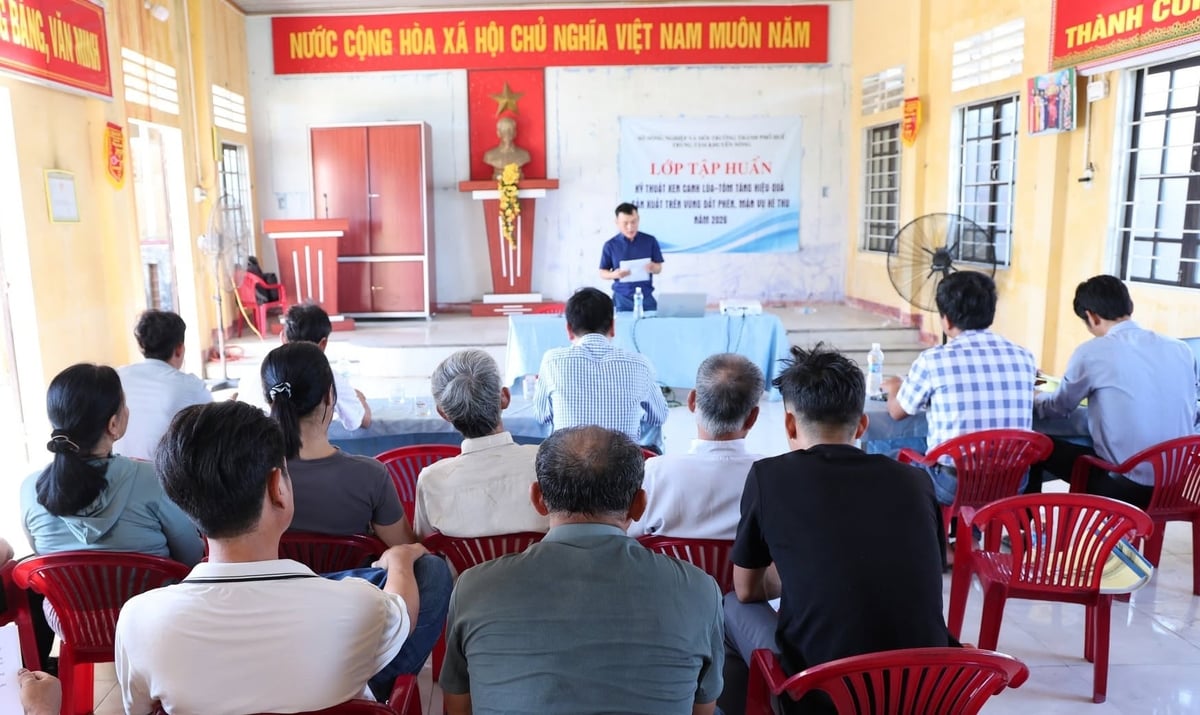 Các lớp tập huấn kỹ thuật xen canh lúa - tôm được Trung tâm Khuyến nông TP Huế tổ chức cho bà con nông dân. Ảnh: Văn Dinh. Các lớp tập huấn kỹ thuật xen canh lúa - tôm được Trung tâm Khuyến nông TP Huế tổ chức cho bà con nông dân. Ảnh: Văn Dinh.