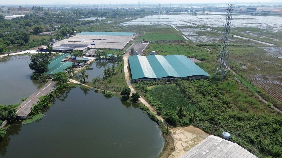 Trang trại Hồ Mơ Xanh. Ảnh: Phúc Nguyên. Trang trại Hồ Mơ Xanh. Ảnh: Phúc Nguyên.