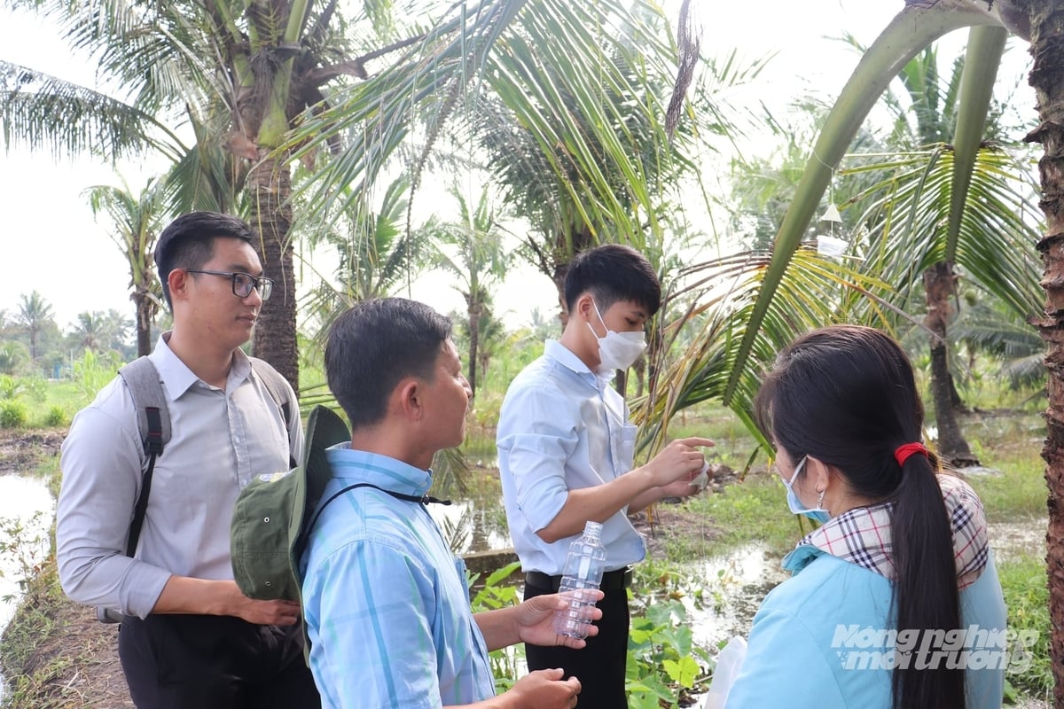 Cán bộ Trung tâm BVTV phía Nam hướng dẫn nông dân kỹ thuật nhân nuôi, thả ong ký sinh và bọ đuôi kìm trên cây dừa. Ảnh: Văn Vũ.