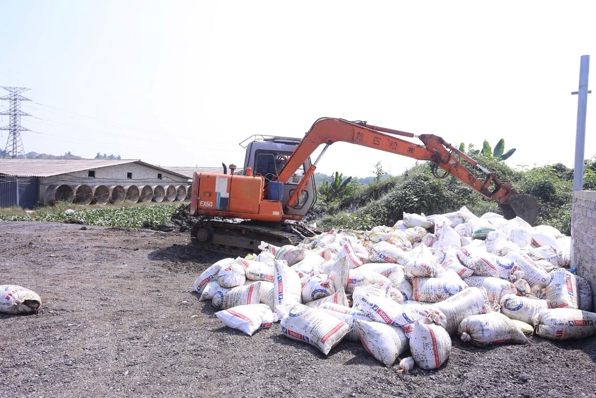 Chủ trang trại gặp rất nhiều khó khăn sau lũ lụt. Ảnh: Phúc Nguyên. Chủ trang trại gặp rất nhiều khó khăn sau lũ lụt. Ảnh: Phúc Nguyên.
